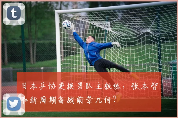 日本乒协更换男队主教练,张本智和新周期备战前景几何?